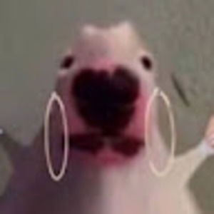 Meet your Posher, Nate lee